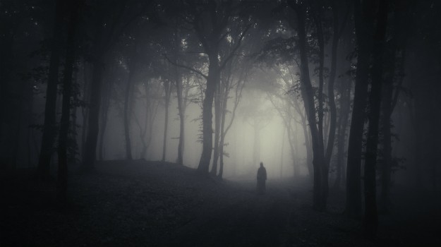 Foto mistis hutan