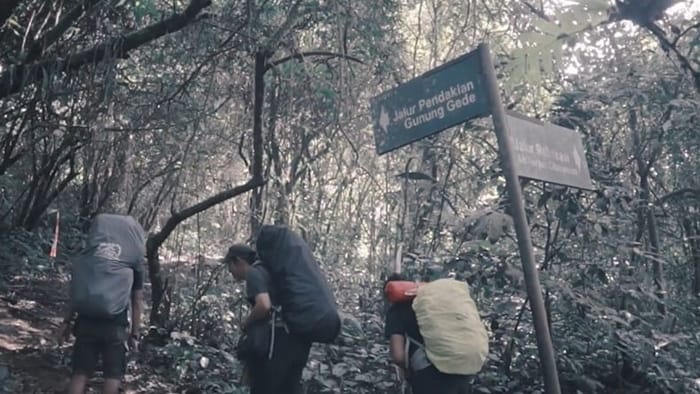 pendaki gunung gede jalur selabintana - Jalur Pendakian Gede Pangrango via Selabintana: Rimbun, Pacet, 12 km!