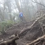 Kabut Gunung Gede