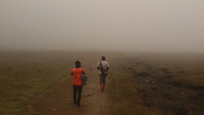 Kabut Suryakencana