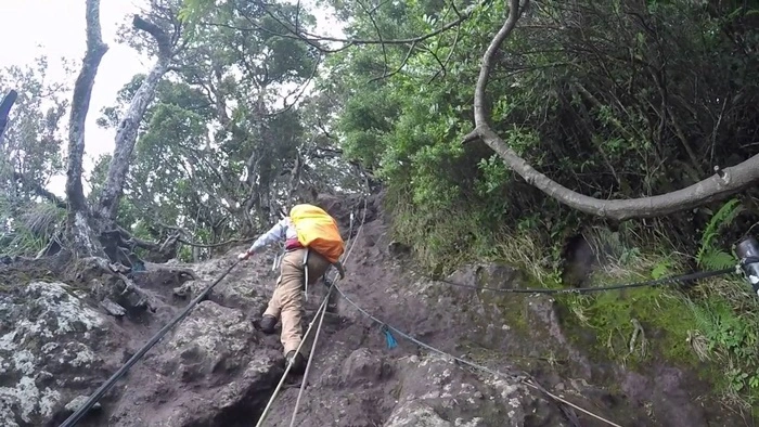 Fisik Dan Mental Pendakian Gunung Gede