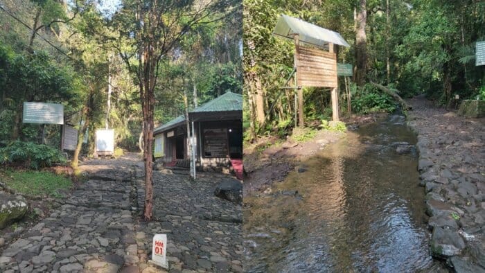 Jalur Wisata Gede Pangrango - Curug Cibeureum Dan Telaga Biru: Objek Wisata Keluarga Di Kawasan Gede Pangrango