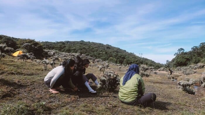 Kelompok Pendaki Lembah Mandalawangi - Jalur Pendakian Gunung Pangrango (Via Cibodas Dan Putri)