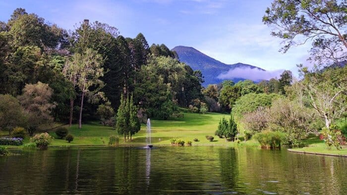 Taman Wisata Cibodas