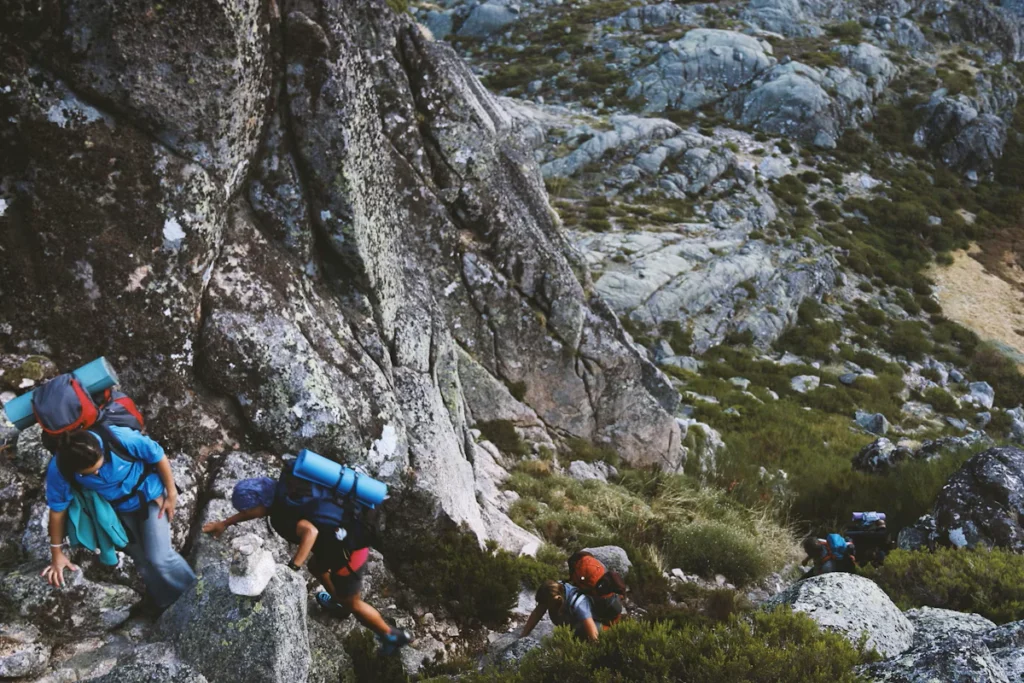 Aktivitas Trekking Di Jalur Pegunungan